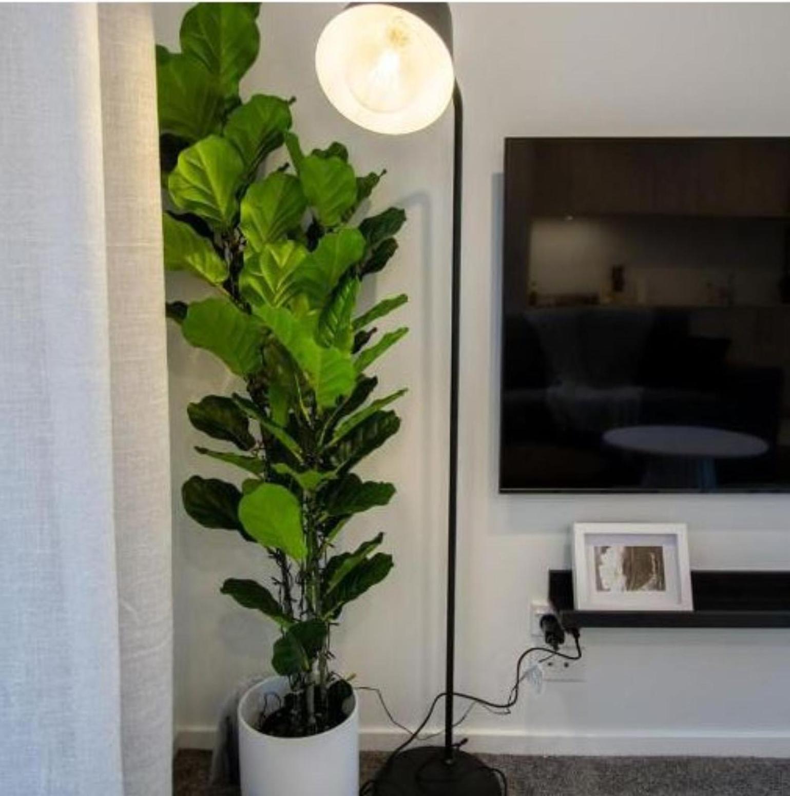 A Touch Of Luxury In Chch Cbd Lejlighed Christchurch Eksteriør billede